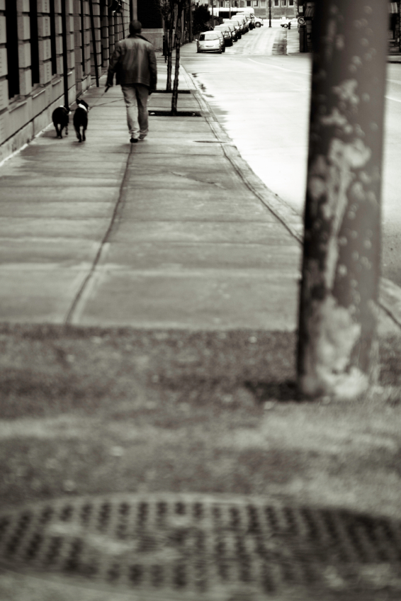 Home Page Image